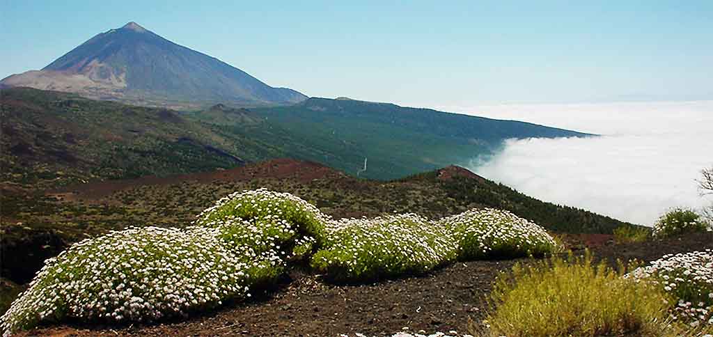 Tenerife Teide vulkaan