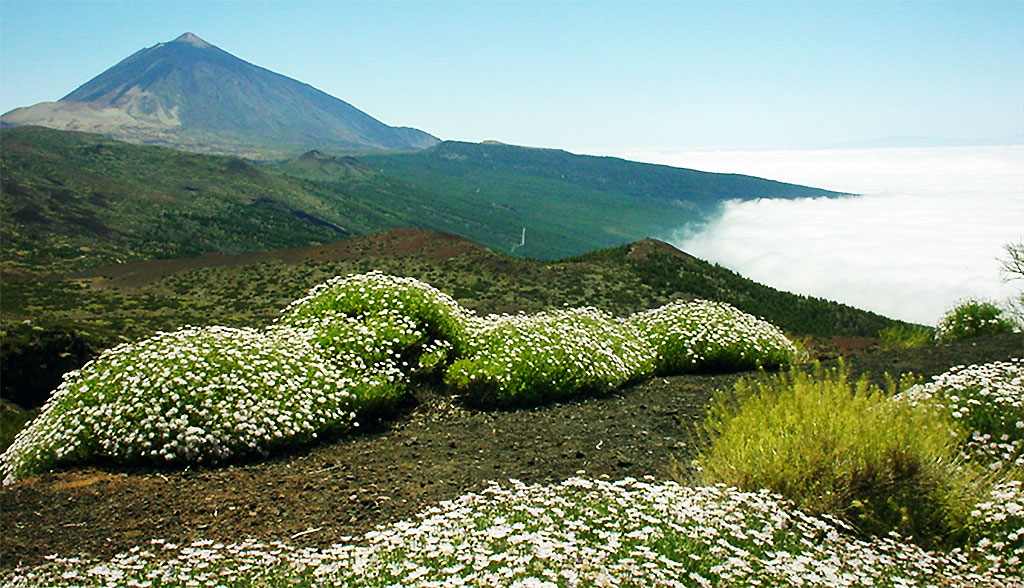 Tenerife Teide weergrens wolken